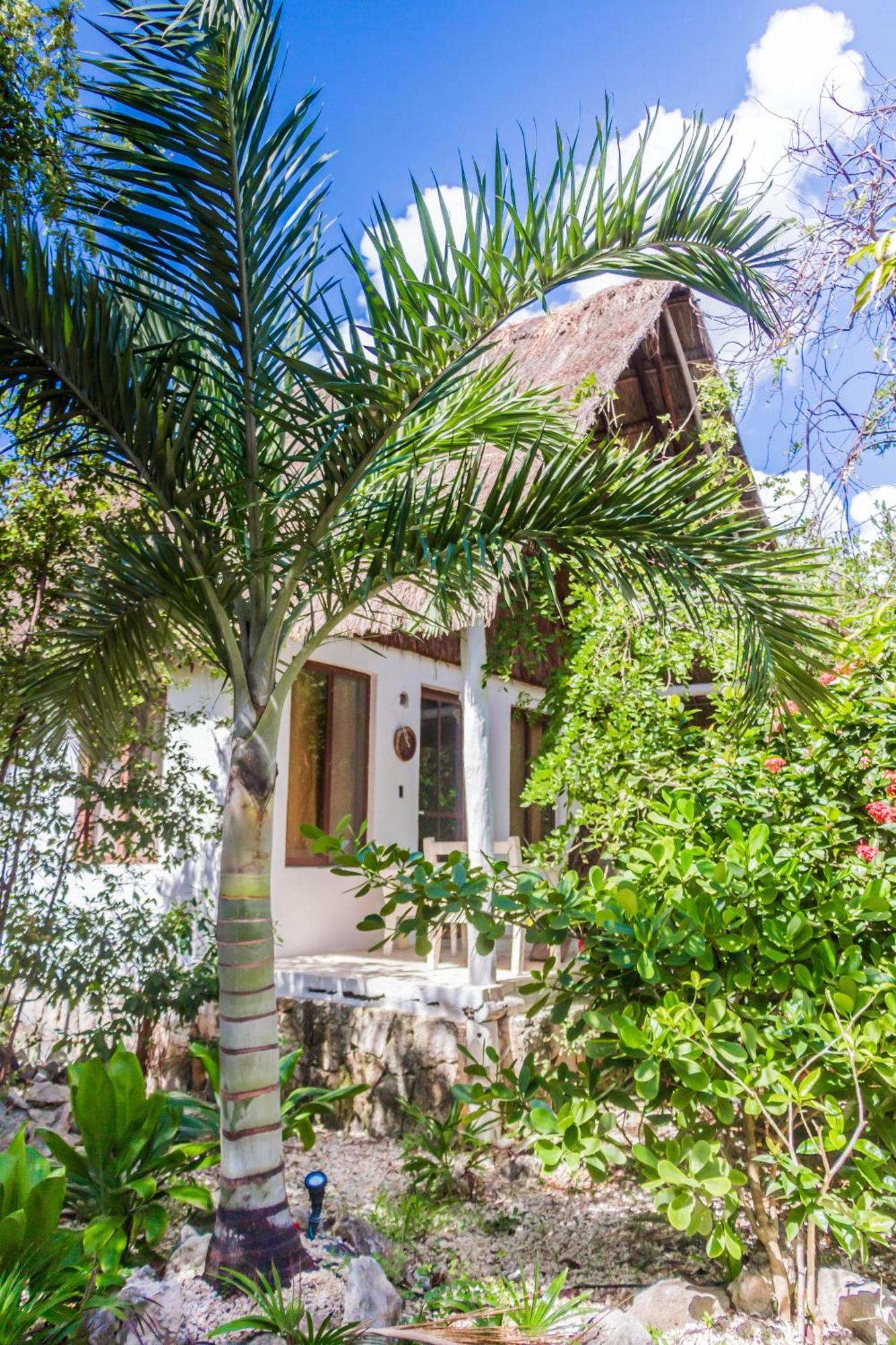 Roc Luxe Tulum Hotel Kültér fotó