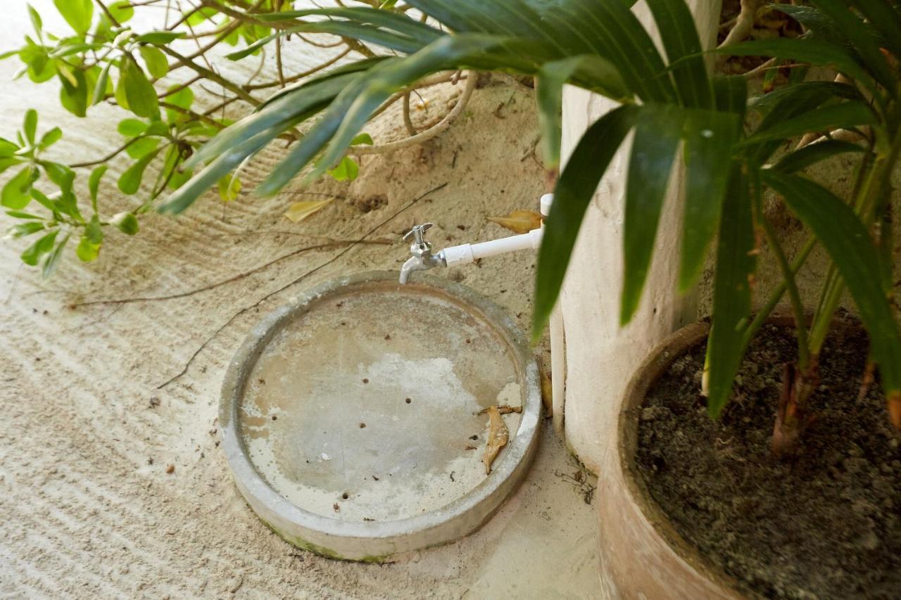Roc Luxe Tulum Hotel Kültér fotó